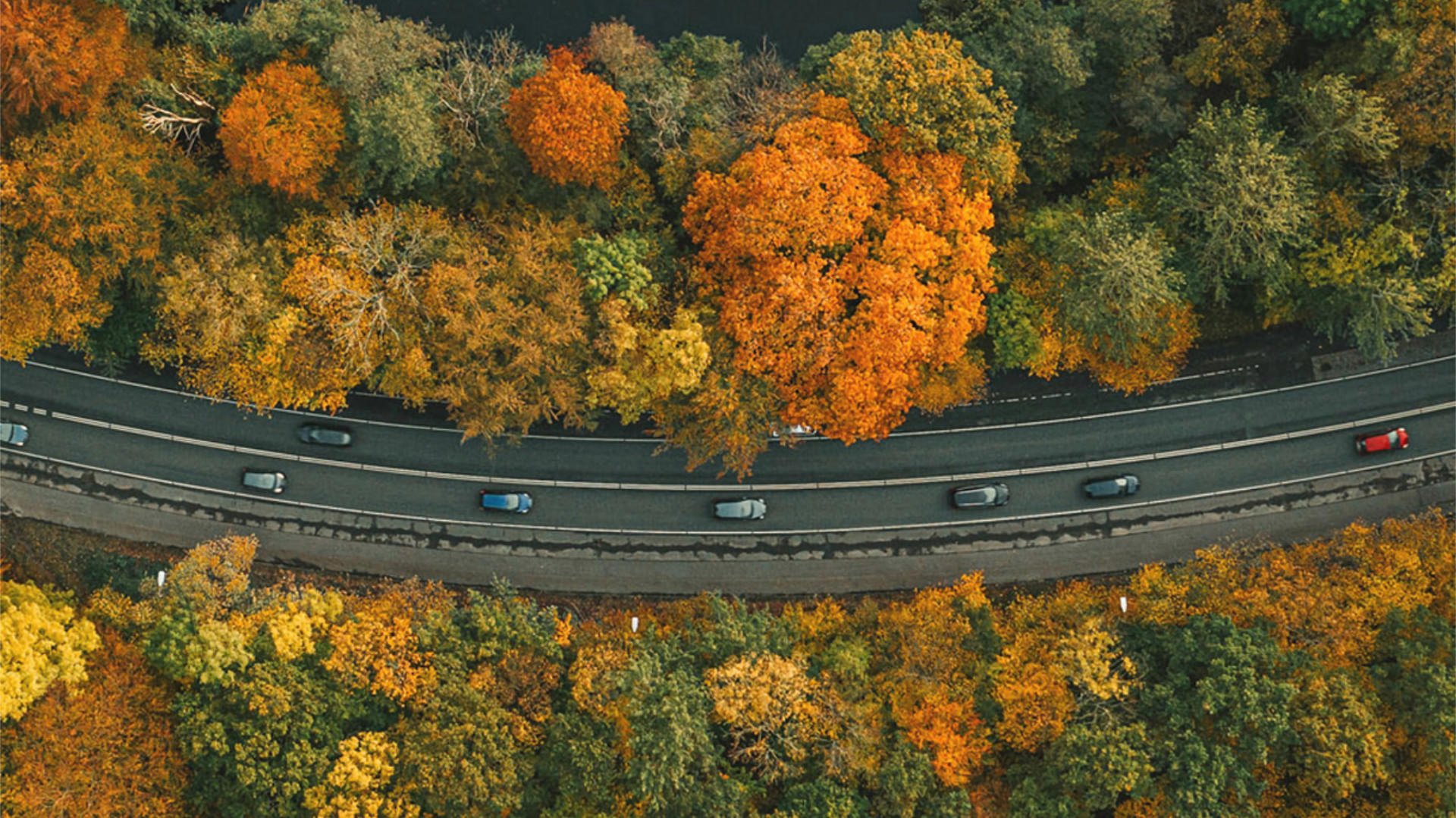 Luftaufnahme einer Landstraße, umgeben von herbstlich buntem Wald.