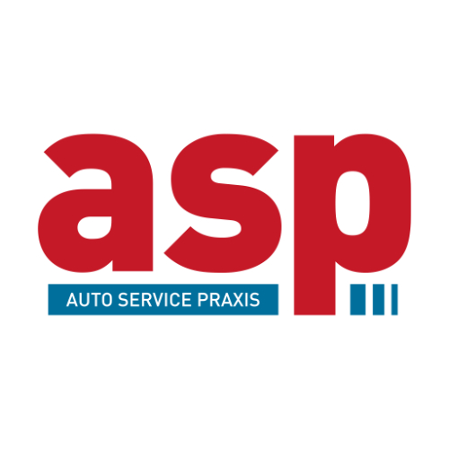 Logo Auto Service Praxis